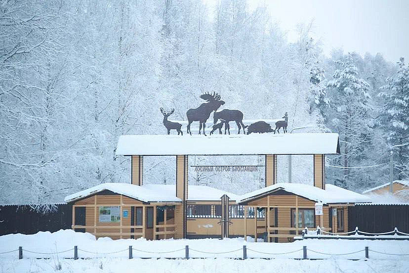 Лаборатория обеспечит ежегодный гематологический мониторинг копытных – лосей и пятнистых оленей