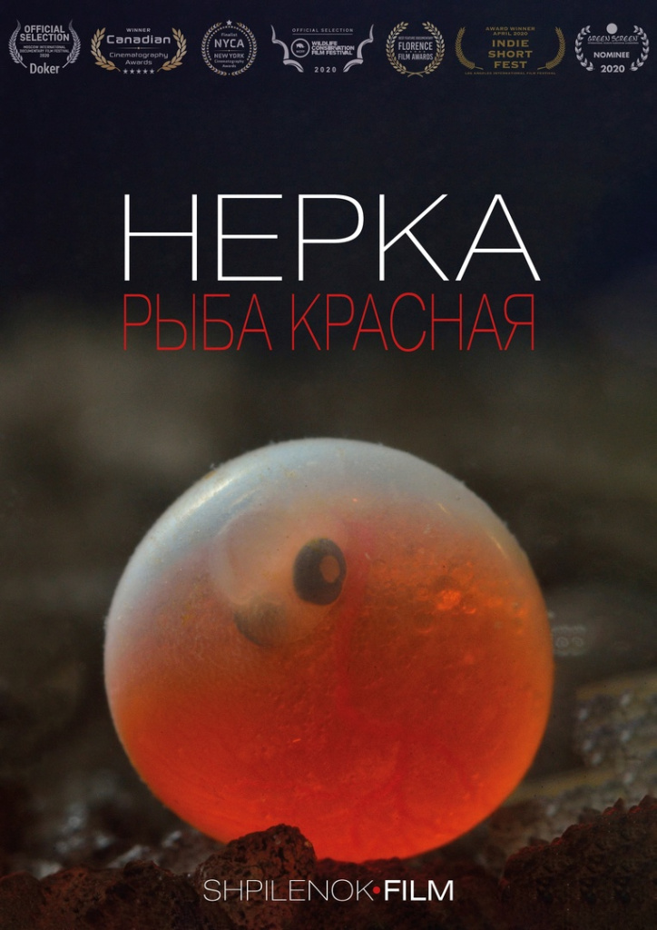 Название_3aca1202-ee8f-4d57-8225-89ba9a18a781.jpg Название_3aca1202-ee8f-4d57-8225-89ba9a18a781.jpg