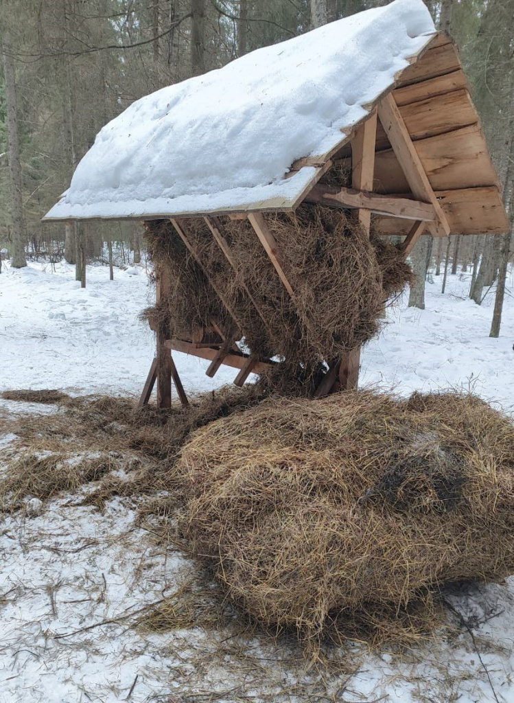 Нацпарк Плещеево озеро и заказник Ярославский