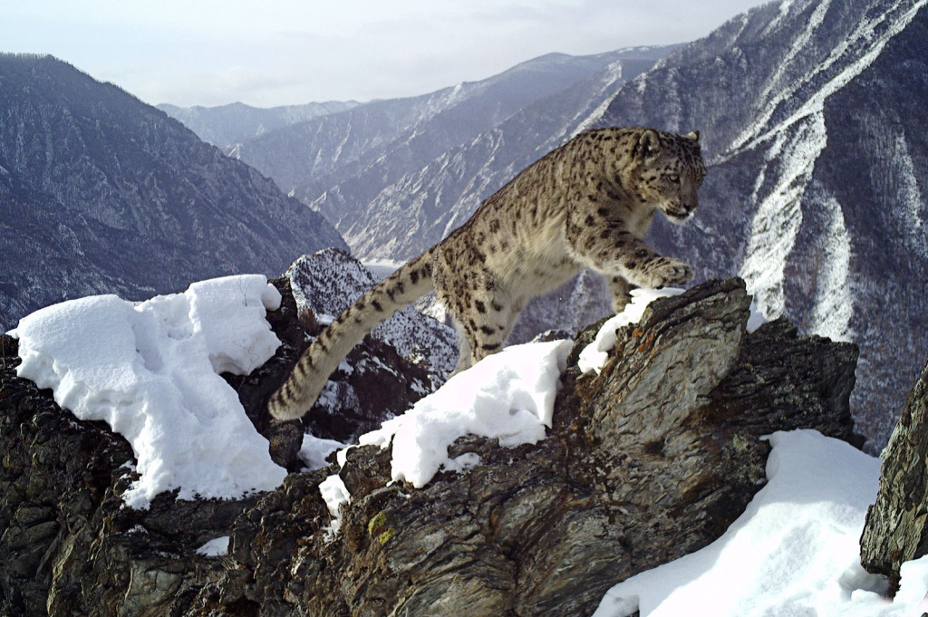 RCNX0129ээ.jpg