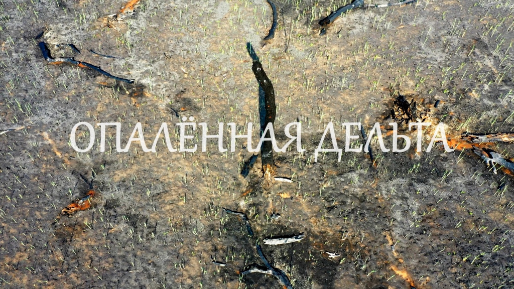 Название_d2734f8f-80b0-441d-8d55-e5999cce496c.jpg Название_d2734f8f-80b0-441d-8d55-e5999cce496c.jpg