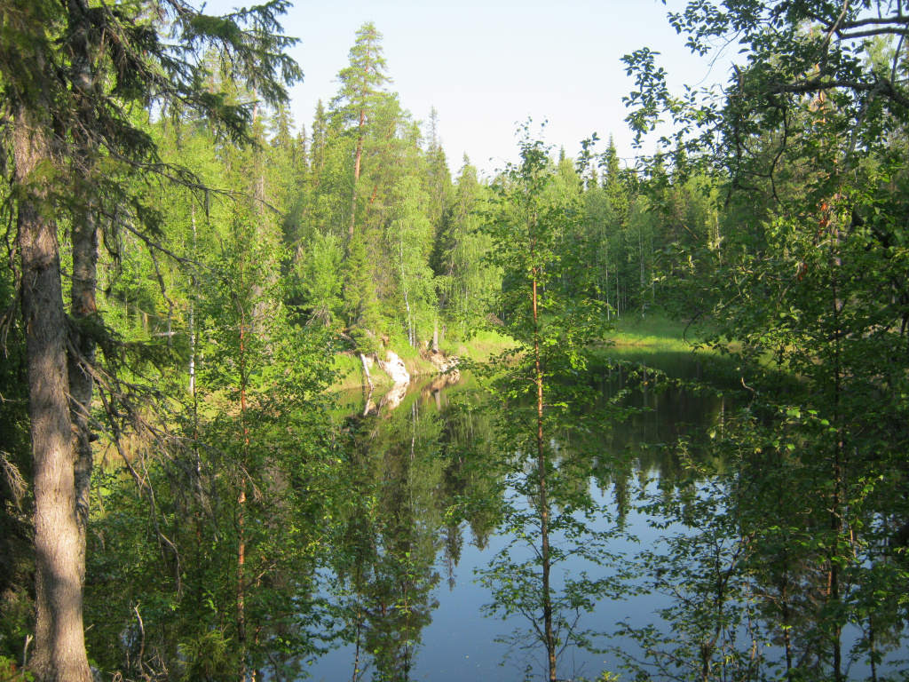 Пинежский заповедник_Фото Дениса Лобинского