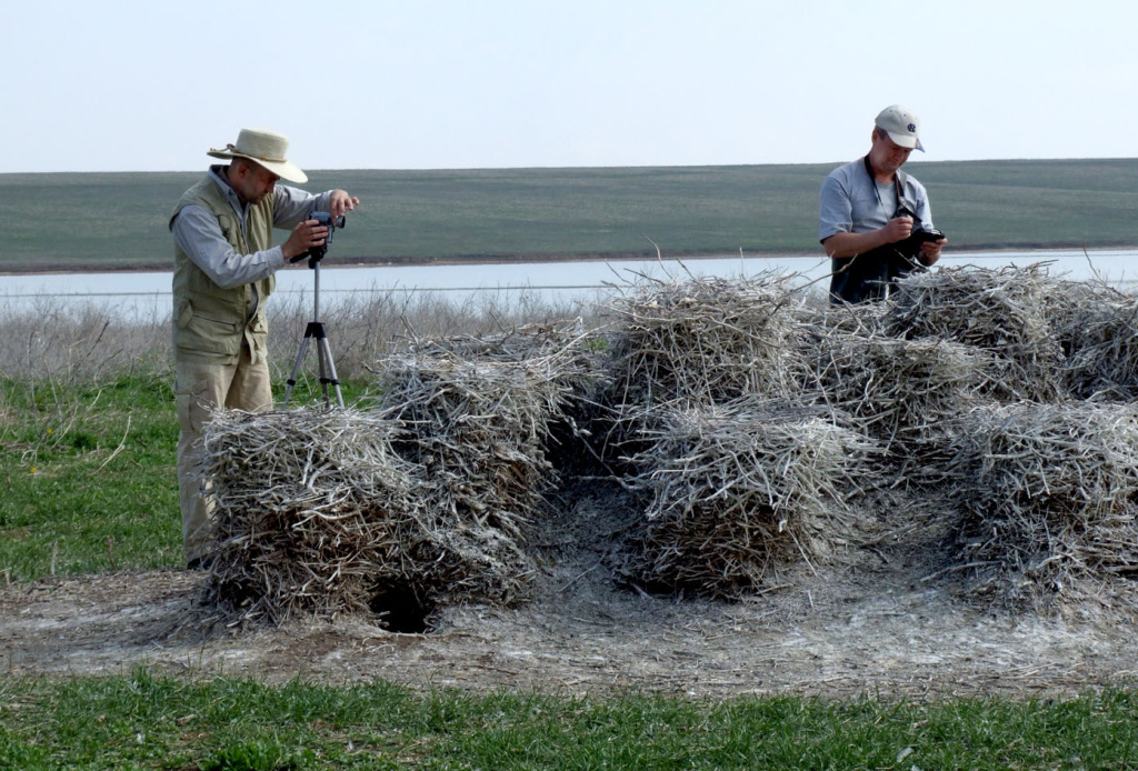 Заповедник Ростовский_Научные сотрудники у гнезд бакланов_Фото ООПТ