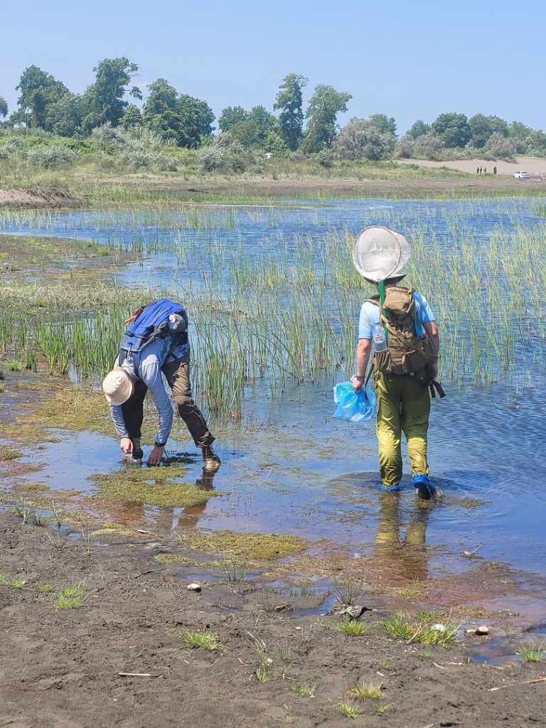 Практика натуралистов ЗОО музея МГУ на Самуре.