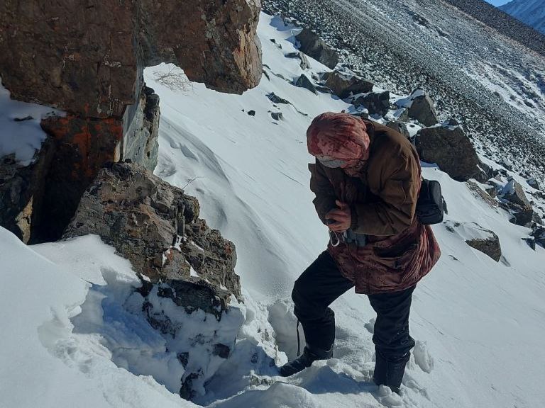 В рамках учетов ирбиса проверено 92 фотоловушки, получено более 42 тысяч фото и видеокадров 