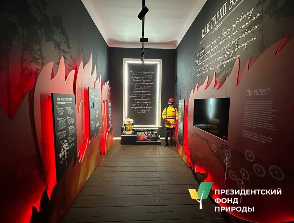 В нацпарке Бузулукский бор открылась «пожарная» выставка