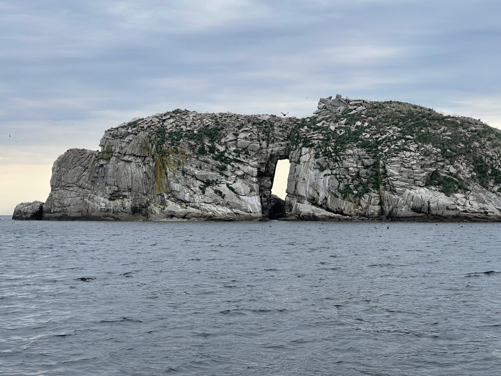 Джугджурский заповедник - царство моря и гор_фото Юрия Ягодина