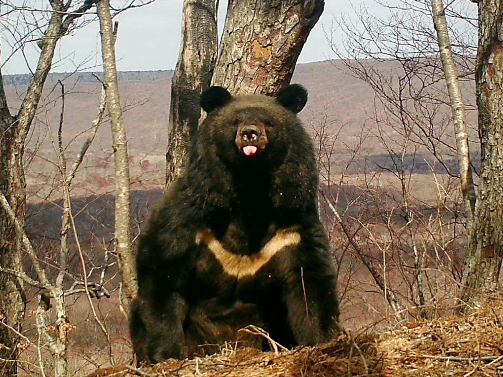 Название_b79c6a96-bb40-446a-802d-176687bd53fe.jpg