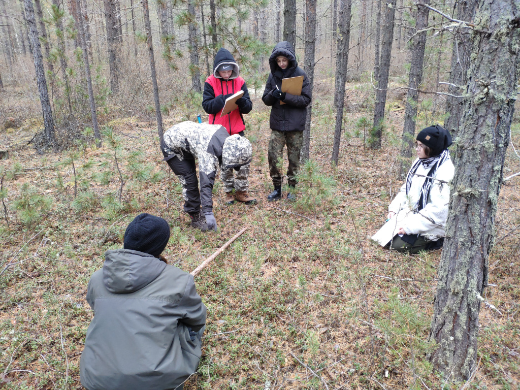 Изучение леса -дело кропотливое_Забайкальский нацпарк