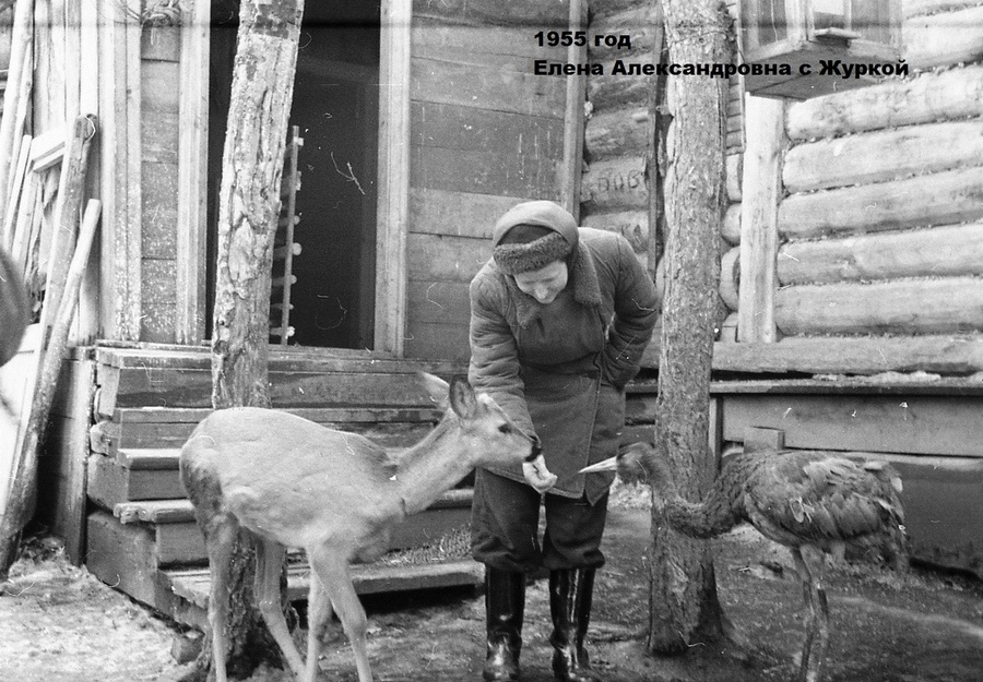 Название_ae2b1c91-af28-42ae-a6b2-f3e085ed4439.jpg Название_ae2b1c91-af28-42ae-a6b2-f3e085ed4439.jpg