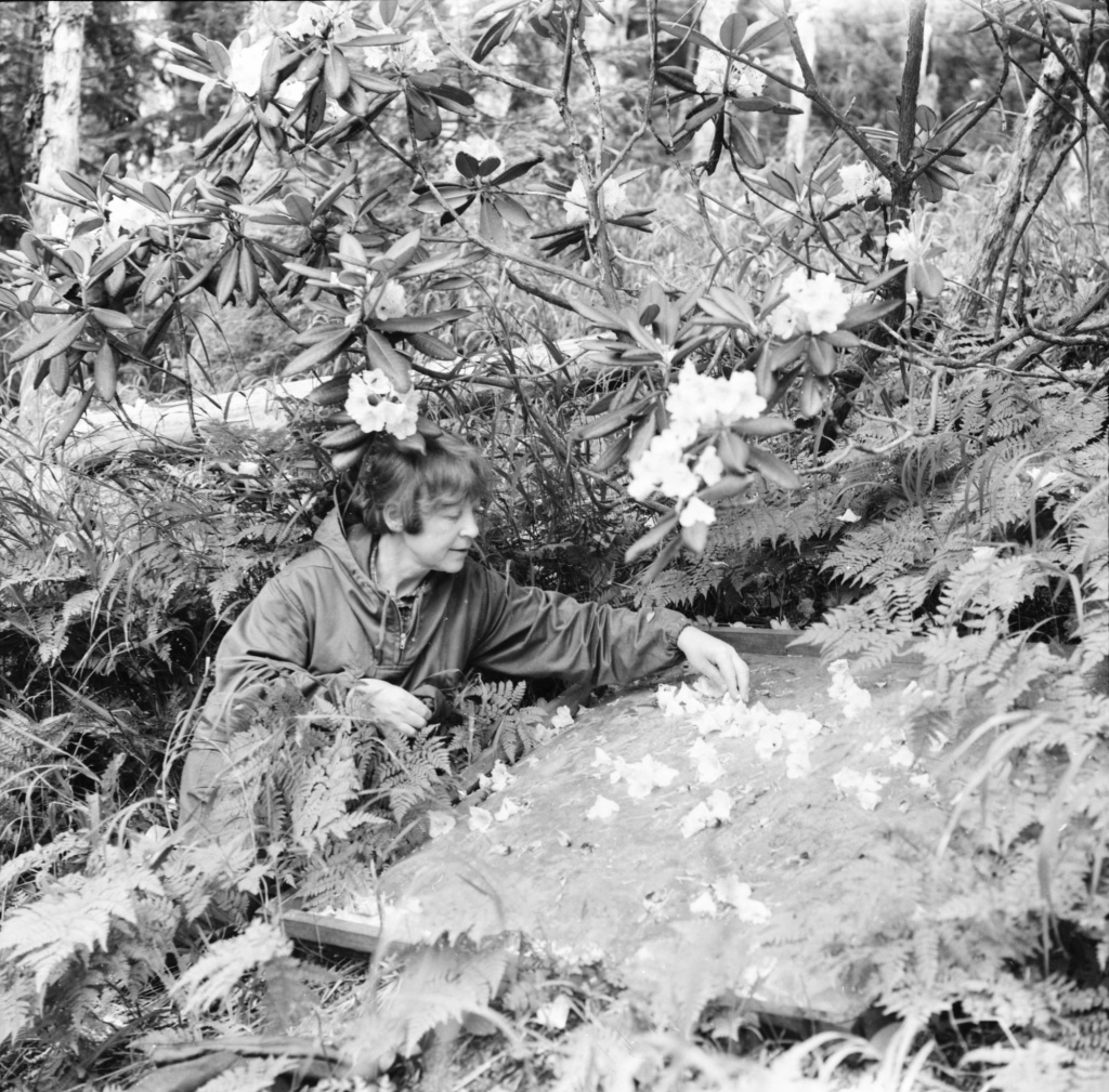 А.П.Утенкова - почвовед и цветущих рододендрон Фори