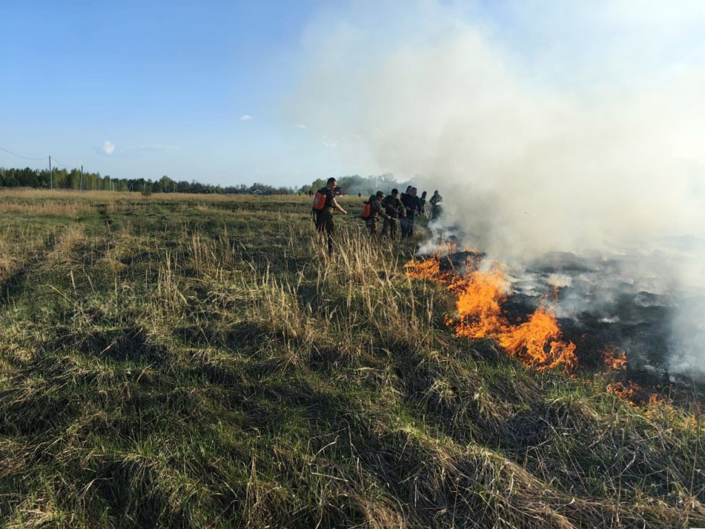 WhatsApp Image 2025-04-28 at 10.31.12.jpeg