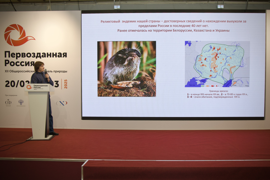 Мария Онуфреня рассказала об эндемике России - русской выхухоли.JPG