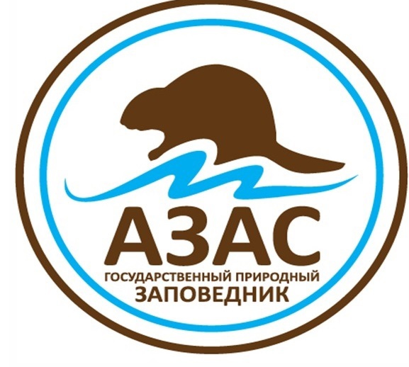 Символ заповедника Азас - уникальный тувинский бобр