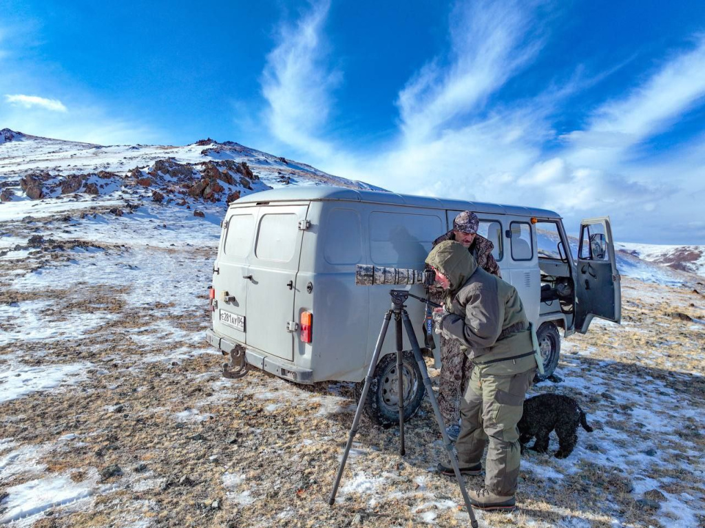 Учет аргали на Южно-Чуйском хребте_Фото Романа Воробьева 