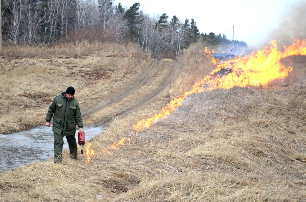 Отжиги позволяют упредить возникновение крупных лесных пожаров_Нацпарк Шушенский бор_Фото А.Юрьева