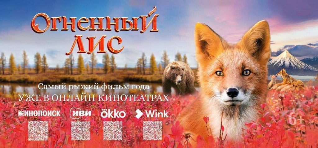 Огненный лис - самый успешный фильм года о дикой природе России