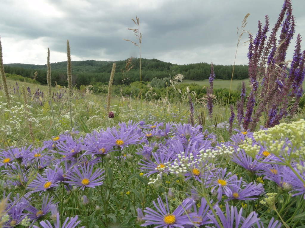 Национальному парку Хвалынский - 30 лет