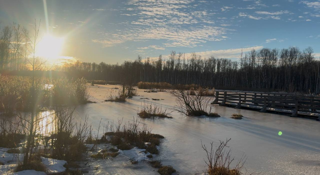 Экоптропа Заповедный лес снова порадует гостей Лосиного острова летом