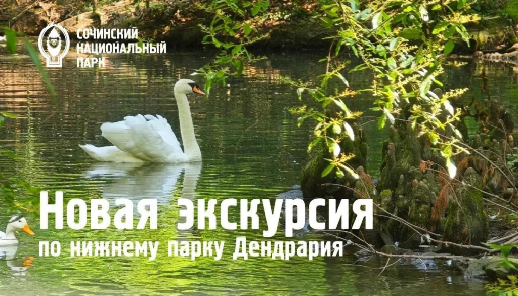 В Сочинском нацпарке доступна новая экскурсия по нижнему парку Дендрария