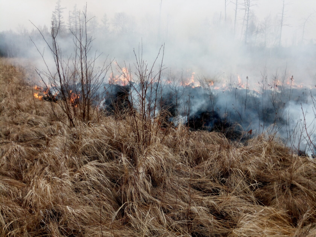 Сотрудники Большехехцирского заповедника (Хабаровский край) контролировали пожар в охранной зоне ООПТ