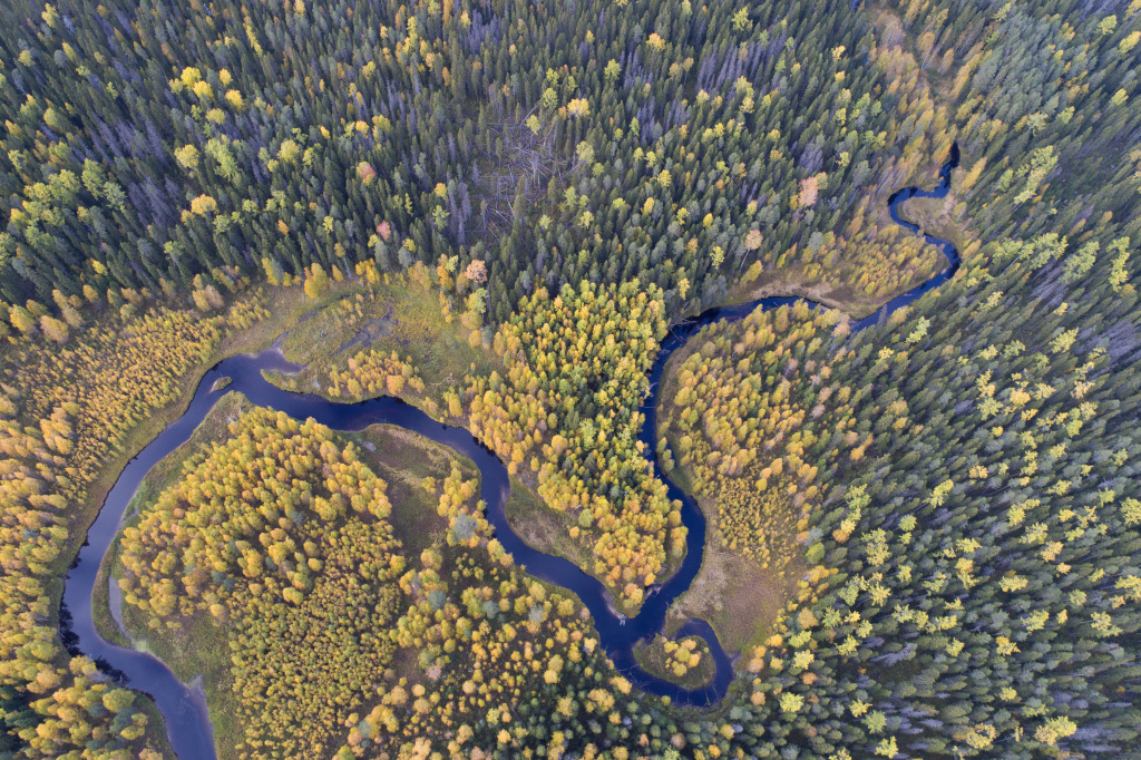 Тонда. Фото Игорь Шпиленок