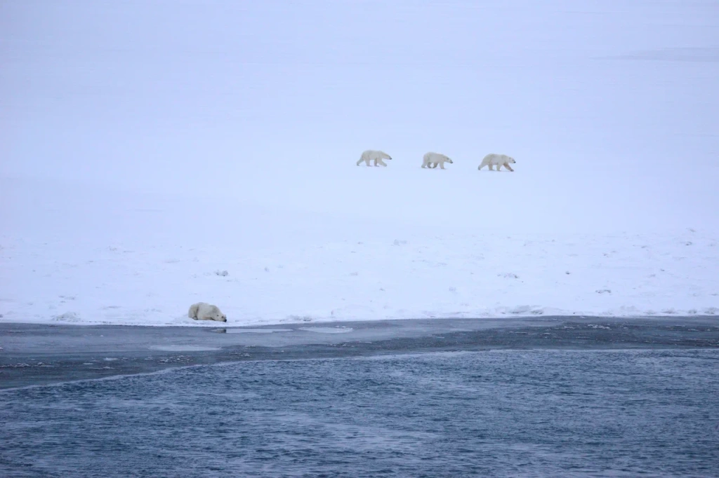 Татьяна Придорожная_Тут становится тесно