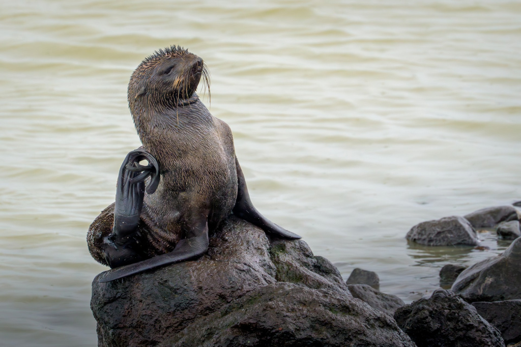 Труханов Илья