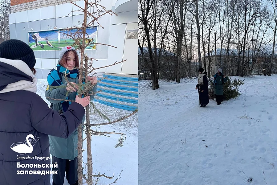 В Хабаровском крае впервые состоялся экомарафон Елки-палки