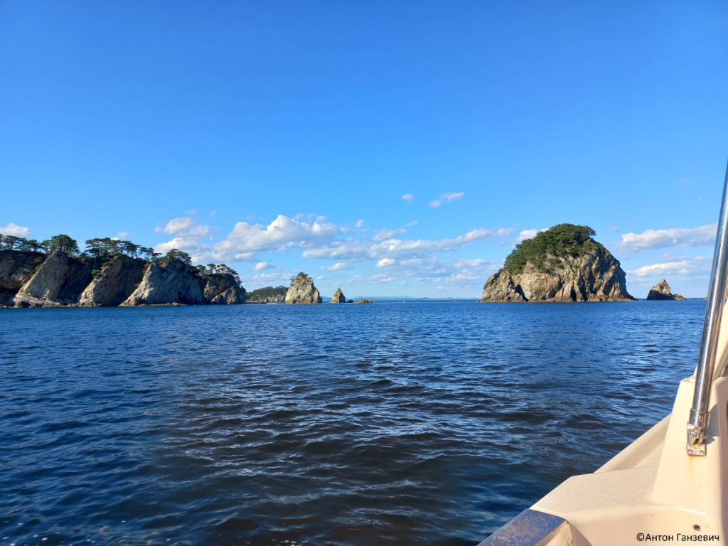 Дальневосточный морской заповедник_Фото Антон Ганзевич