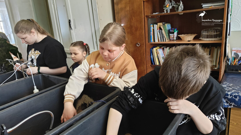 Юные экологи спасают дальневостосточных черепашат_Фото ФГБУ Заповедное Приамурье