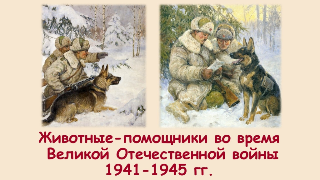 В годы войны животные были не просто свидетелями, но и активными участниками боевых действий