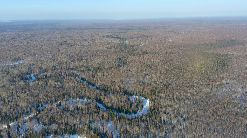 Вид с высоты птичьего полета на меандры р.Парбиг