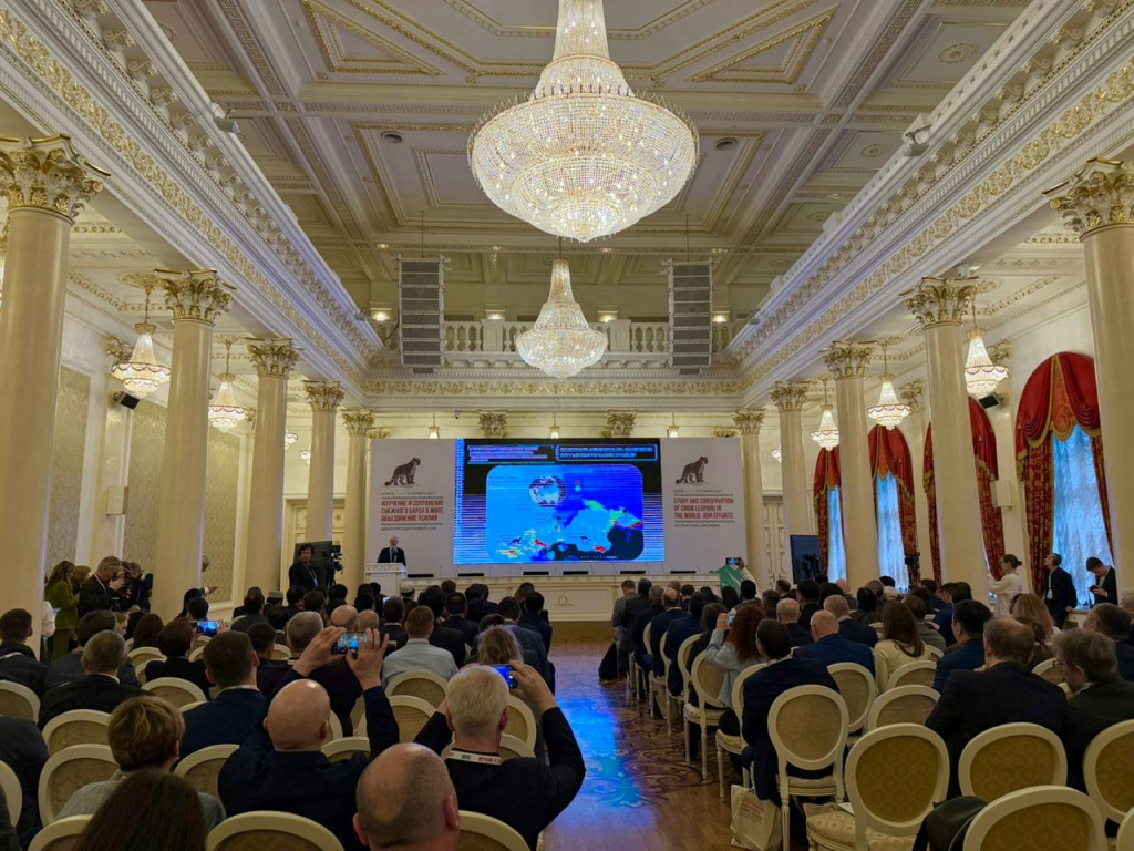 Деловая программа конференции продлится 2 дня 