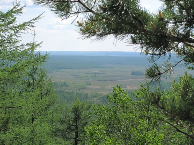 Южное болото. Эпицент взрыва Тунгусского метеорита. Фото Пелехань Л.Г.