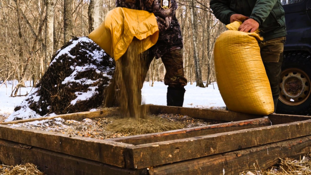 Биотехнические мероприятия в нацпарке Земля леопарда