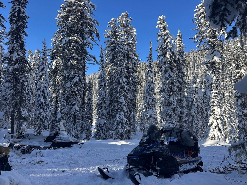 Авторы фото Роман и Татьяна Воробьёвы.jpg