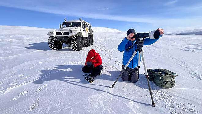 Современные технические средства помогают получать данные не тревожа животных.jpg
