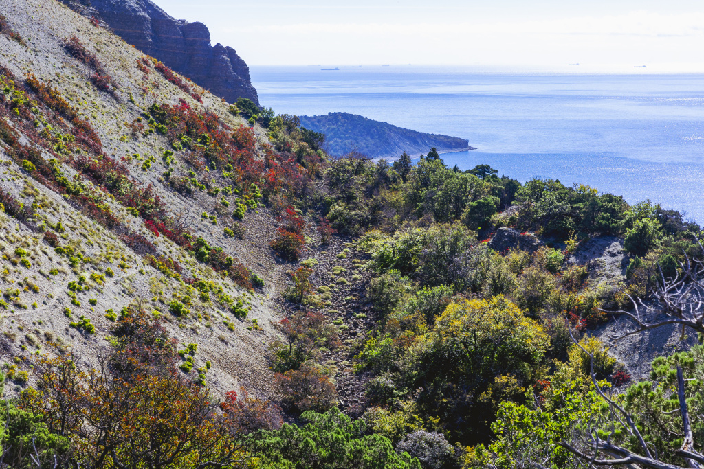 Посетить заповедник Утриш можно в любое время года