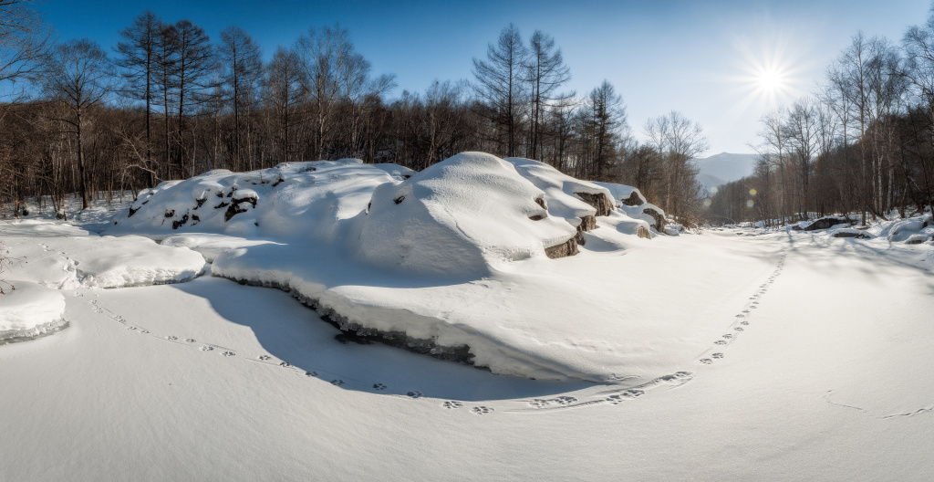 Тропой-тигра. Евгений Табалыкин 