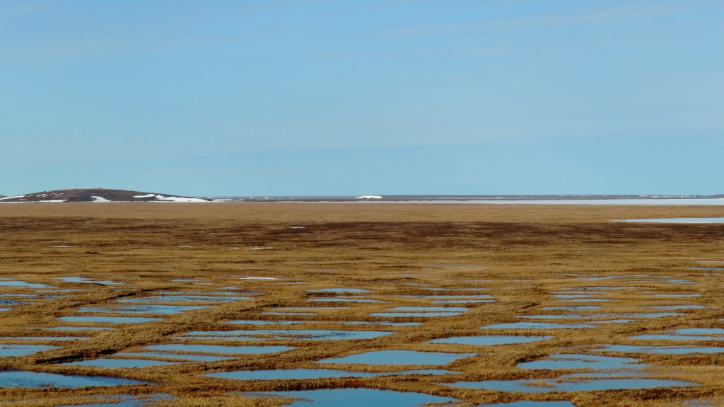 Нацпарк Кыталык_Общий вид_ Фото Сергея Слепцова