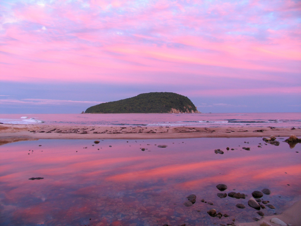 остров Петрова фото из архива ФГБУ