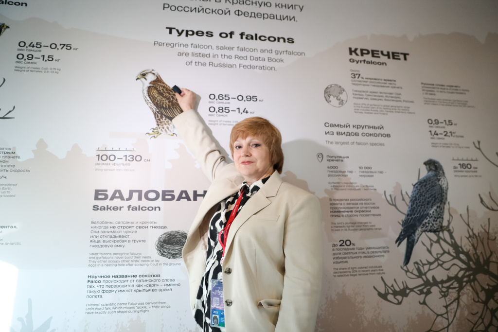 Ольга Кревер рассказала о природоохранной значимости соколиных 