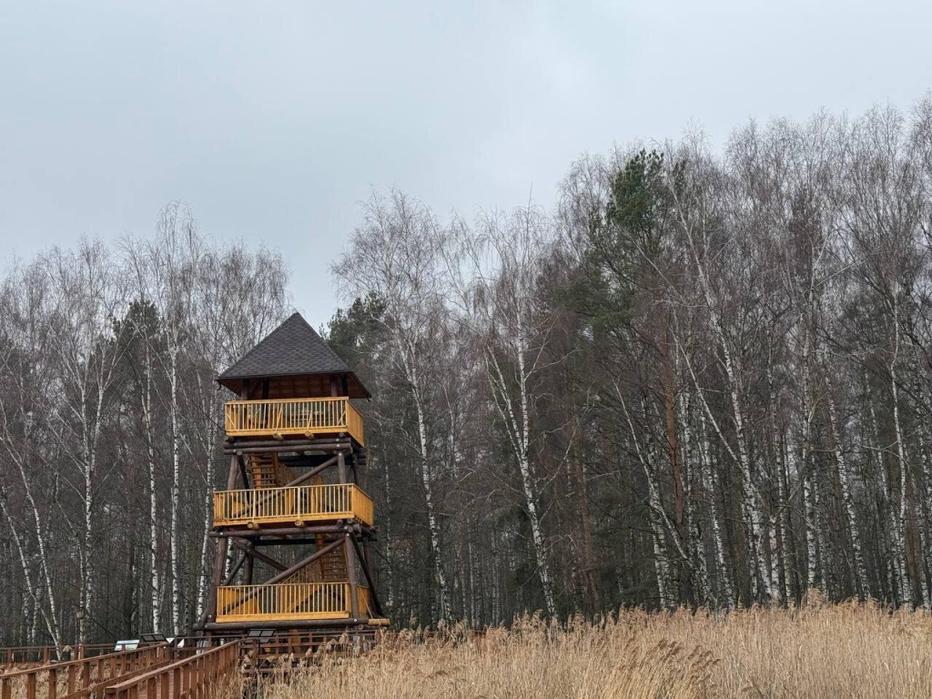 Смотровая вышка в национальном парке Лосиный остров