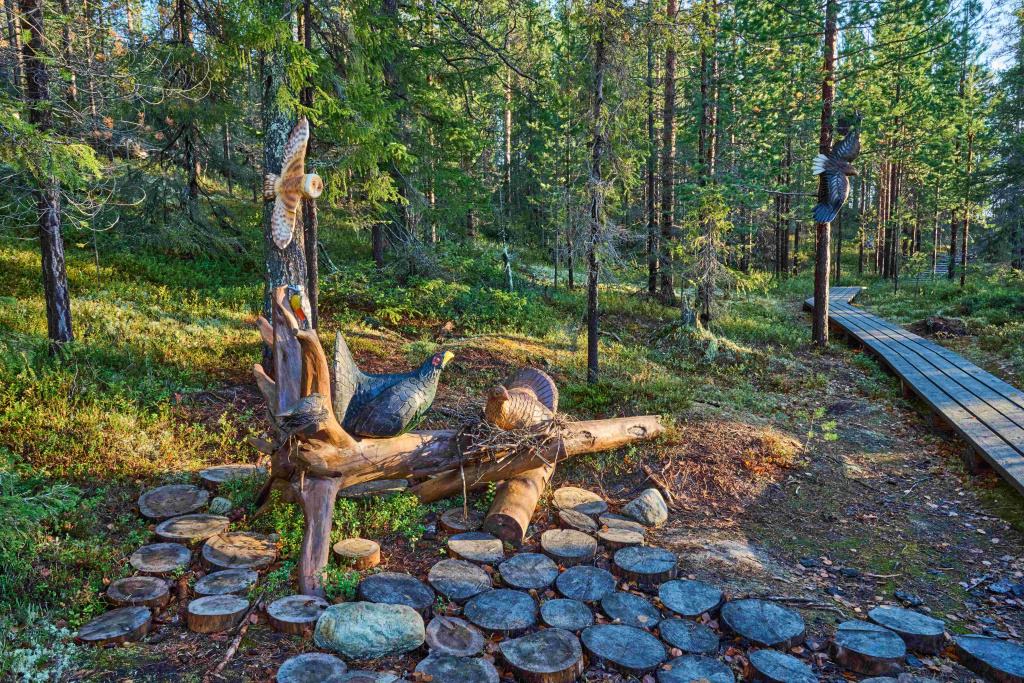 Экотропа Почемучка Птицы_Фото Владимира Горбатовского 