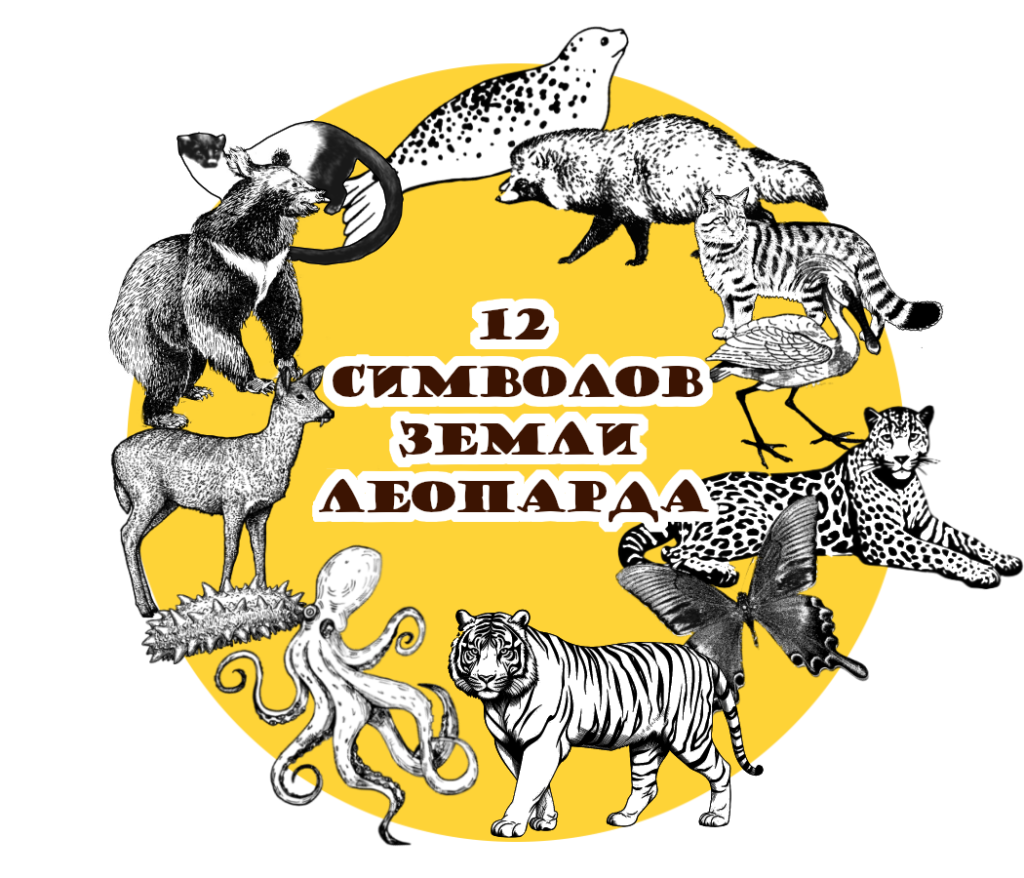 Стартовал проект 12 символов Земли леопарда