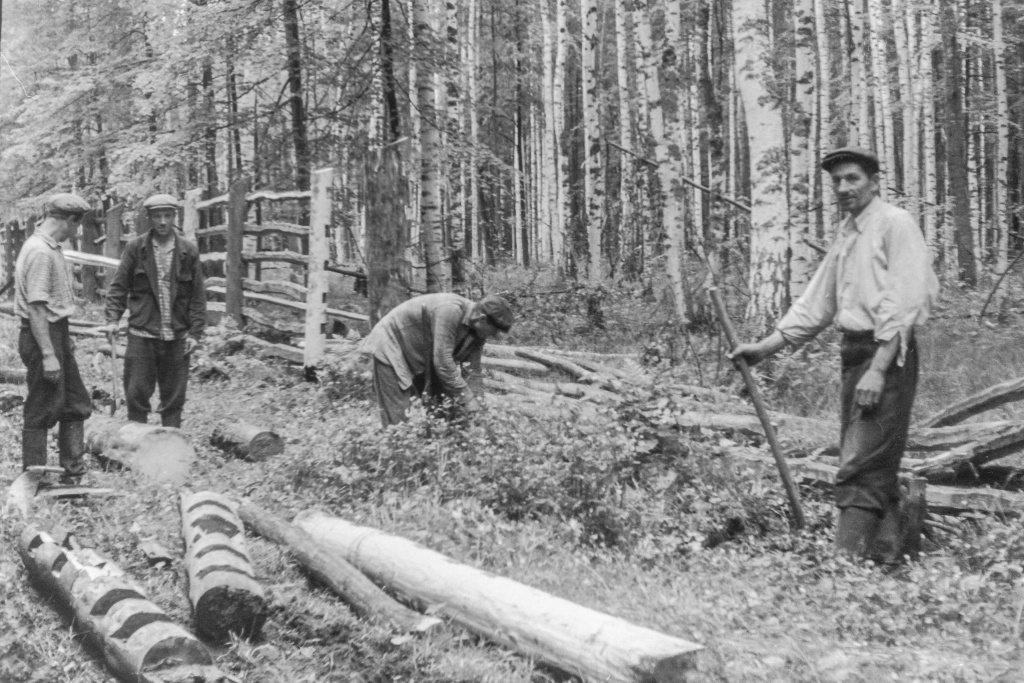 Название_0a4cddce-b031-4bb9-904a-6f33d4193bf1.jpg Название_0a4cddce-b031-4bb9-904a-6f33d4193bf1.jpg