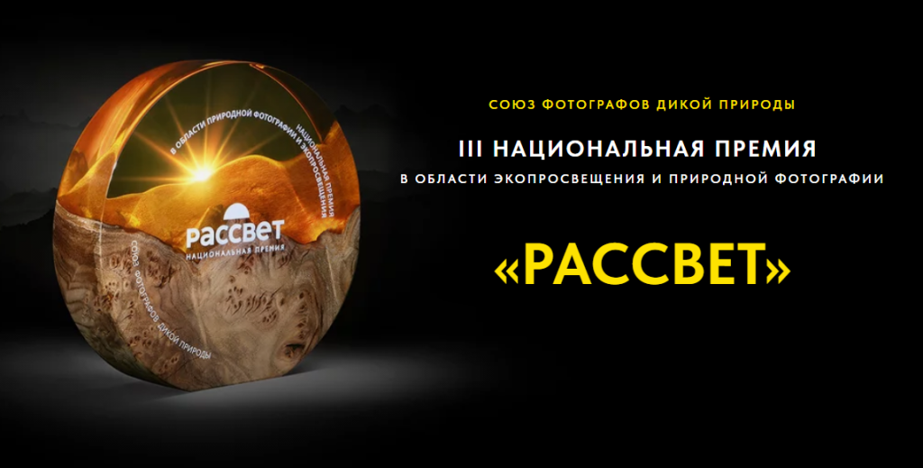 Премия Рассвет уже в третий раз объединяет эколого-просветительские проекты со всей страны 