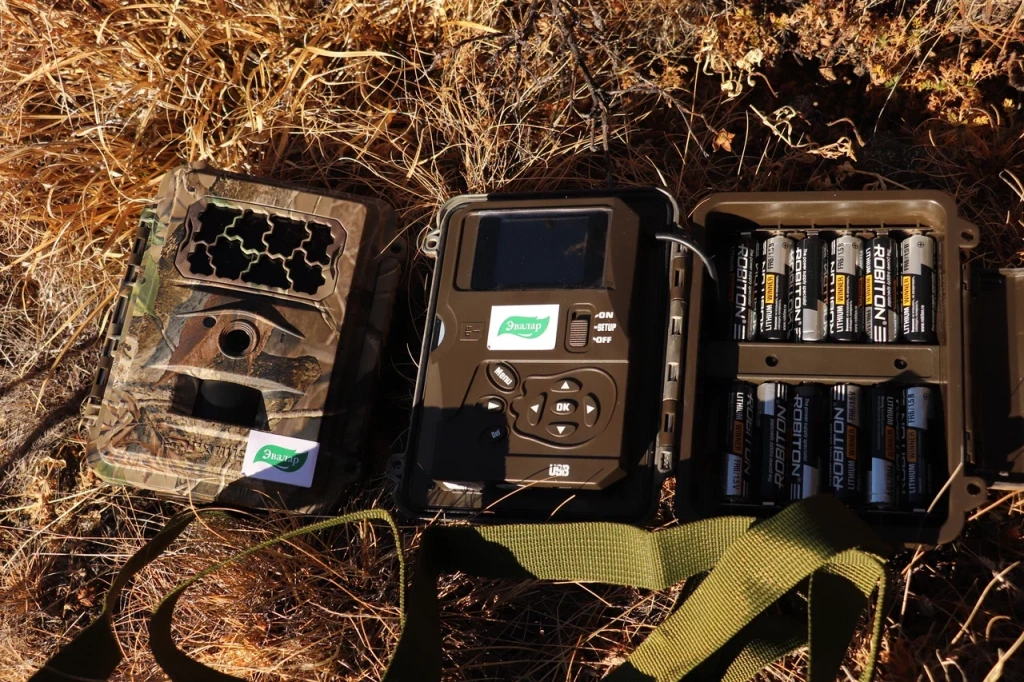 Фотоловушки помогут установить численность снежного барса