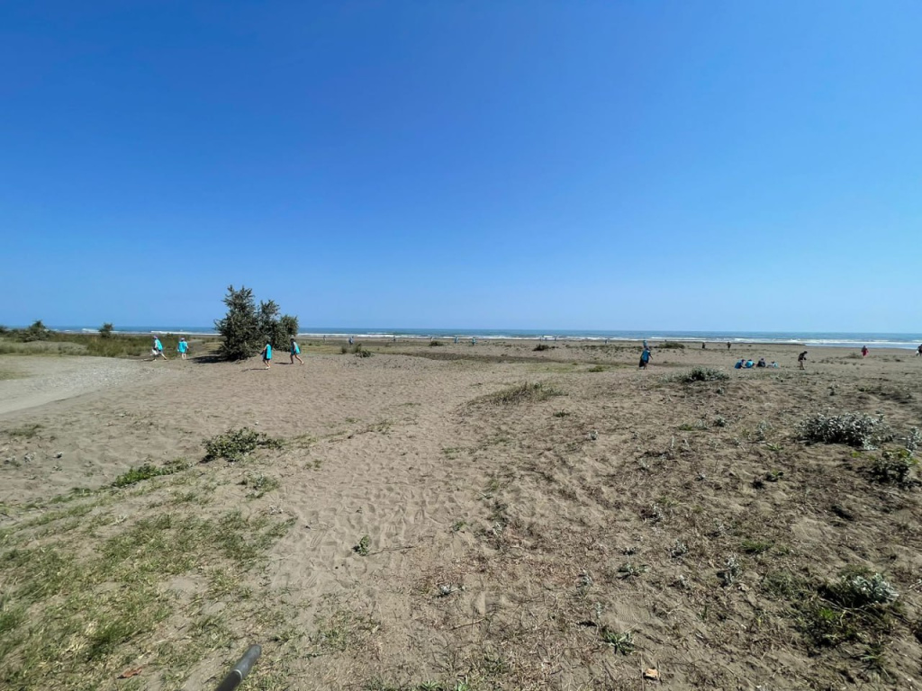 Экологический десант наводит порядок на территории кластера Дельта Самура.jpg